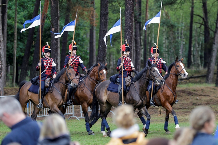 Paarden en natuur in volle glorie