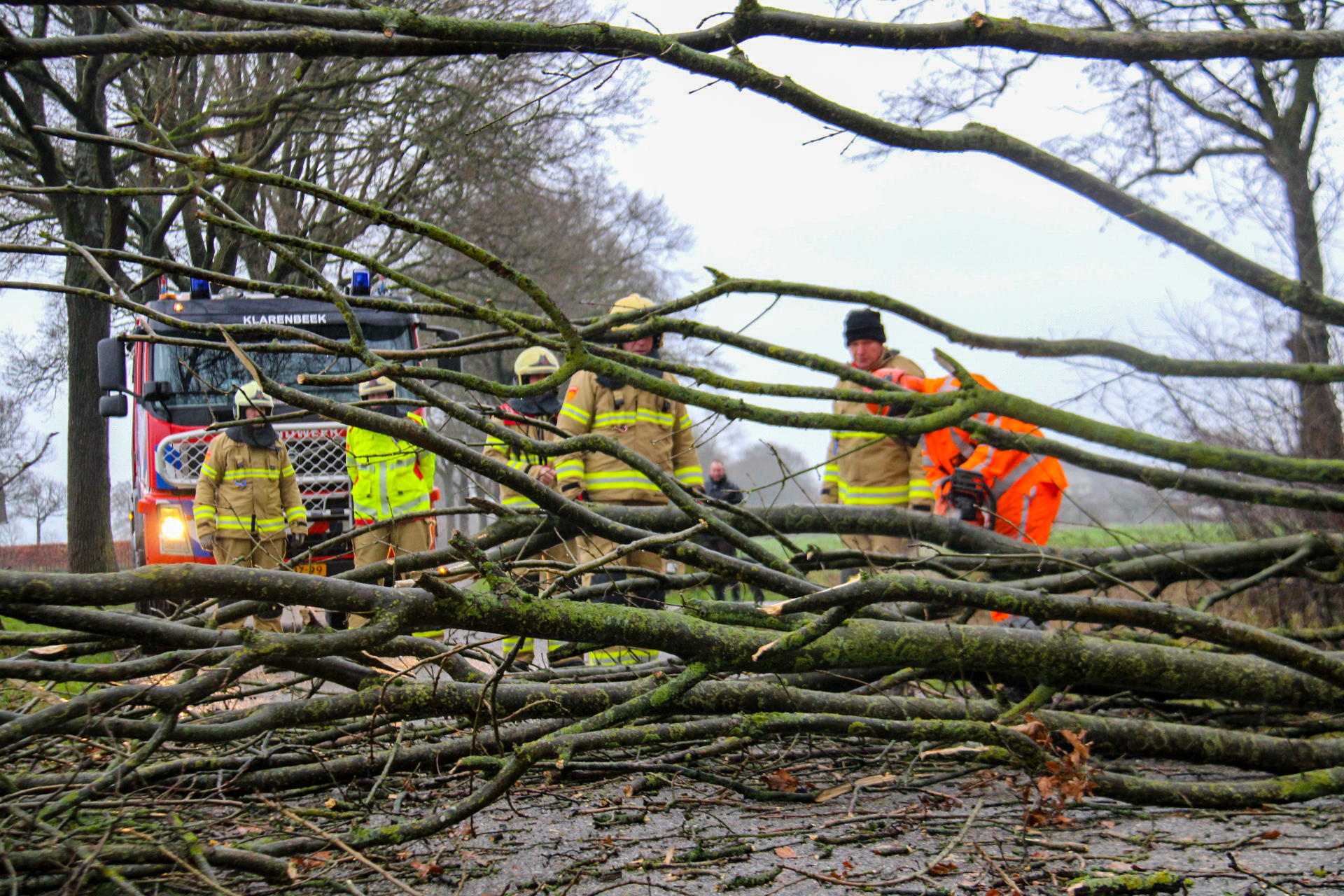 Storm Bella raast over Apeldoorn; loshangende takken en omgevallen bomen