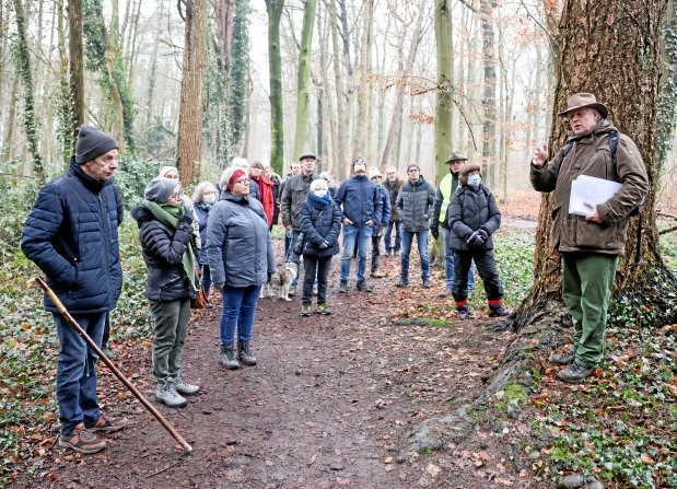 Op nieuwe manier naar bomen kijken