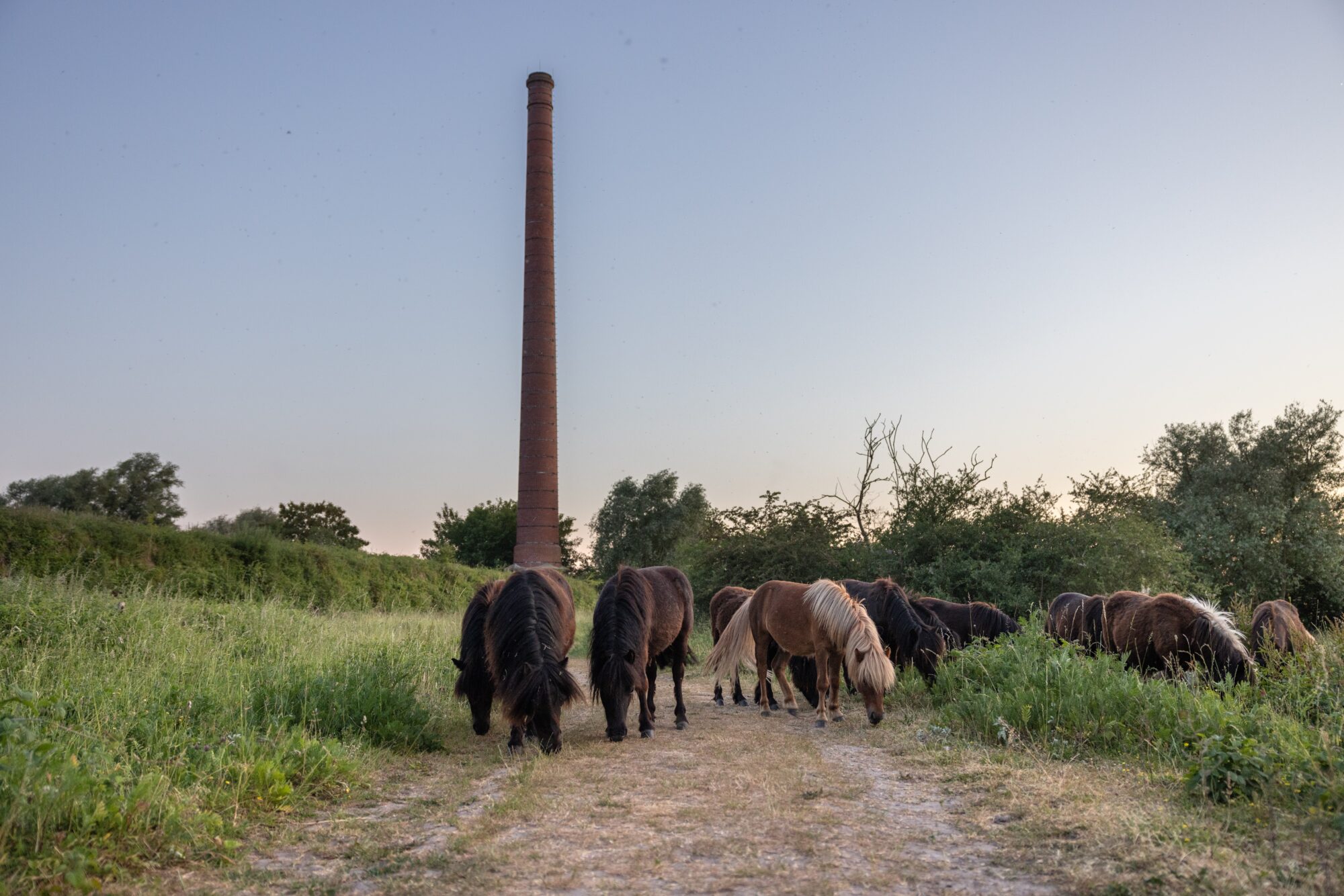 Struinen door de Duursche Waarden