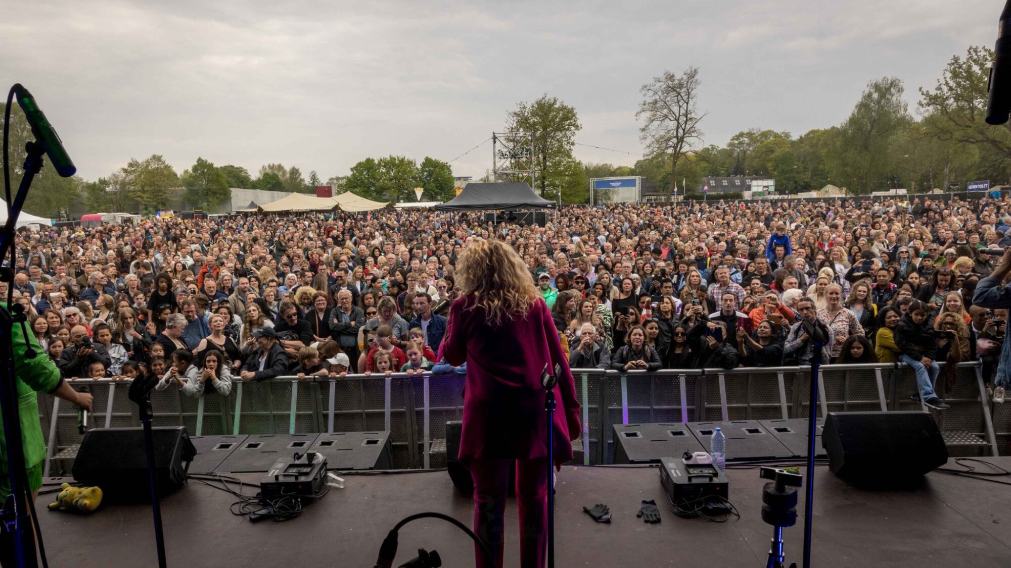 Brommers Kieken op Zwitsalpark