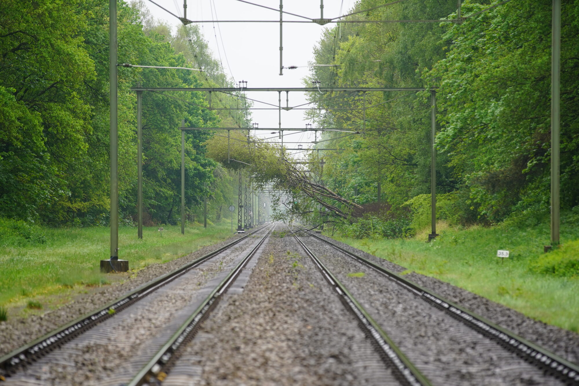 Geen treinverkeer tussen Deventer en Zutphen door boom op het spoor
