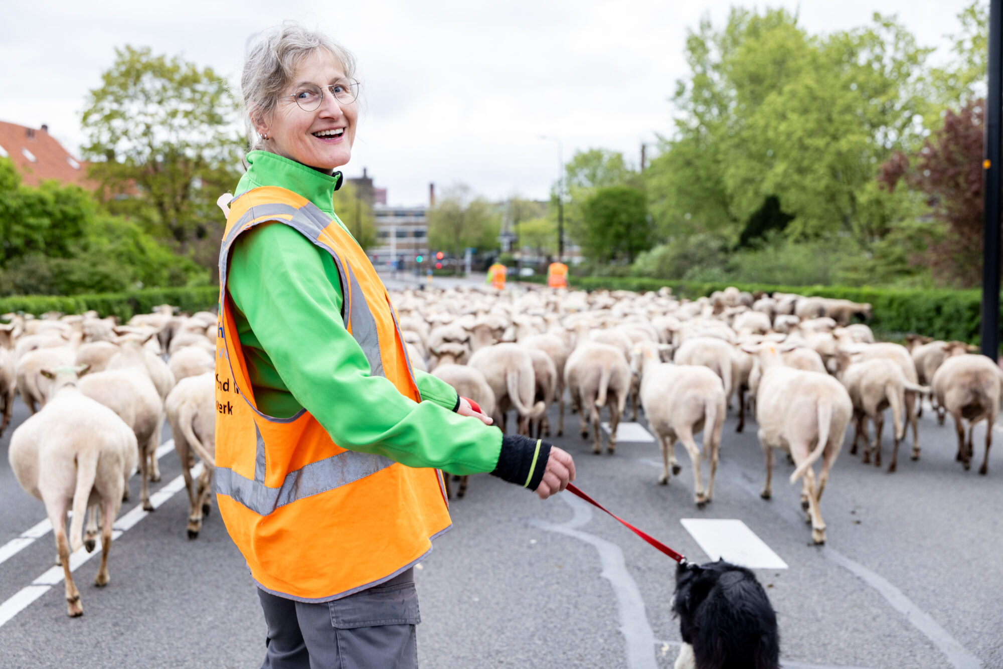  ‘Grazen wat de pot schaft, in dienst van de natuur’