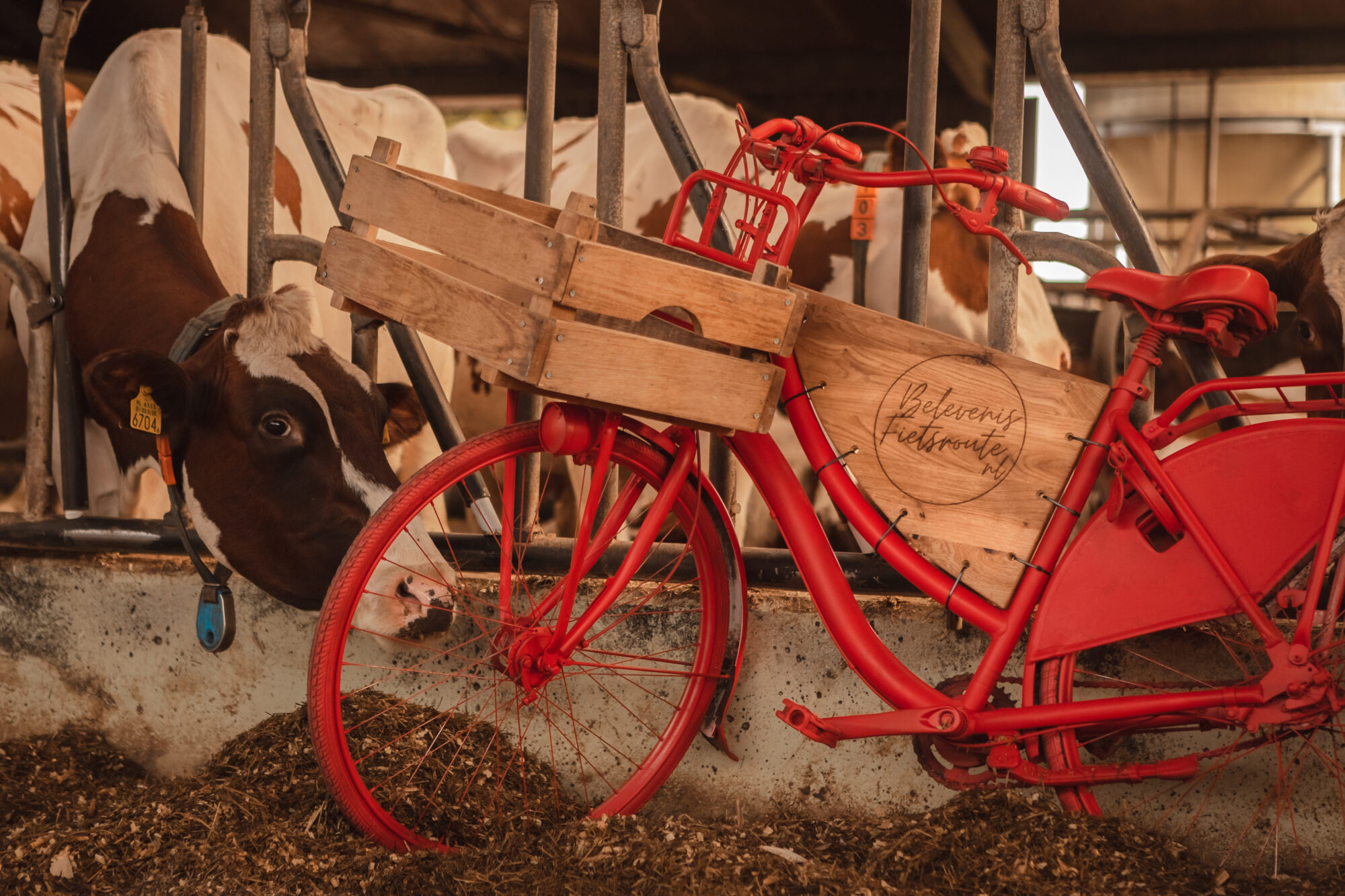 Culinaire Fietstocht in Salland