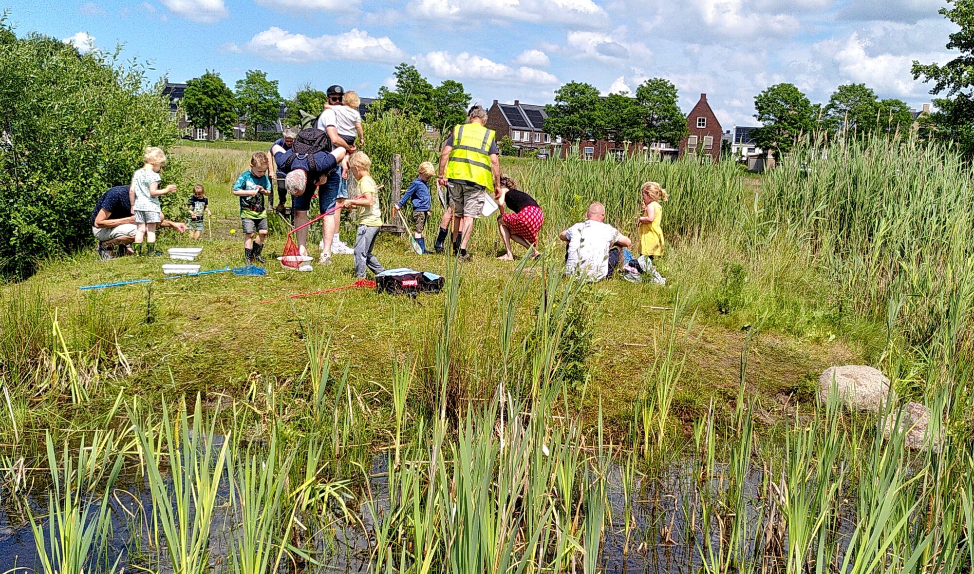 Waterbeestjes in Zandweteringpark