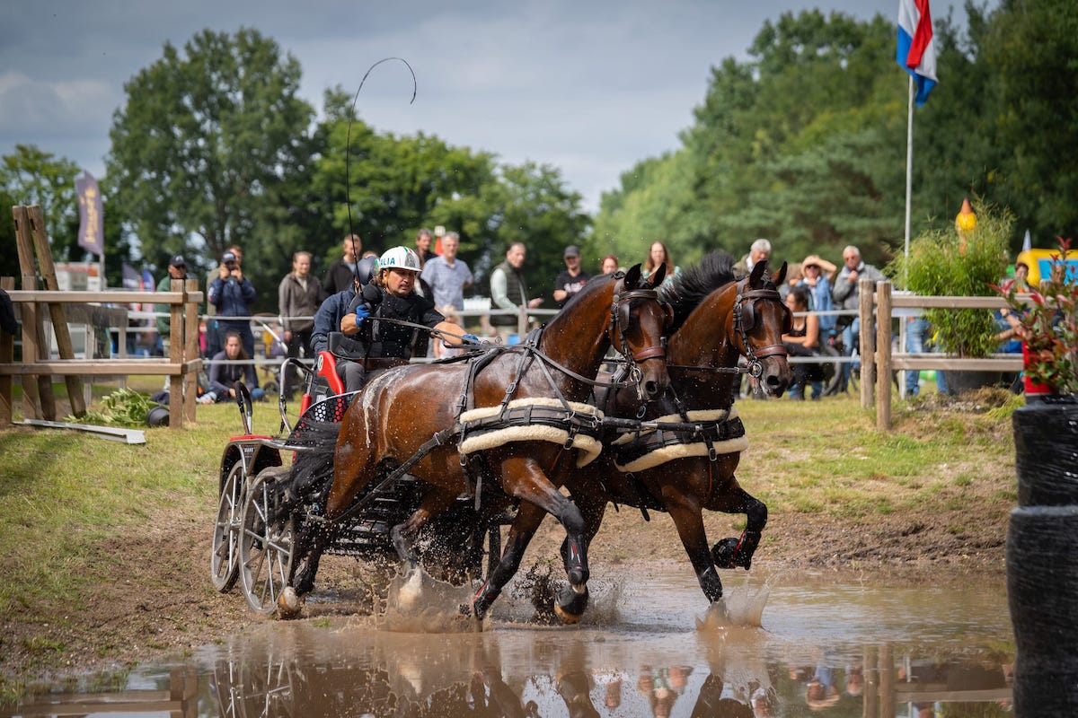 Samengestelde menwedstrijd