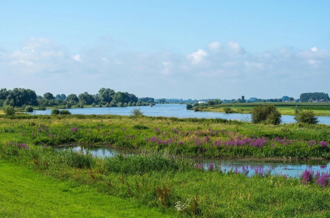 Stemmen op de ‘Meester van het IJssellandschap’