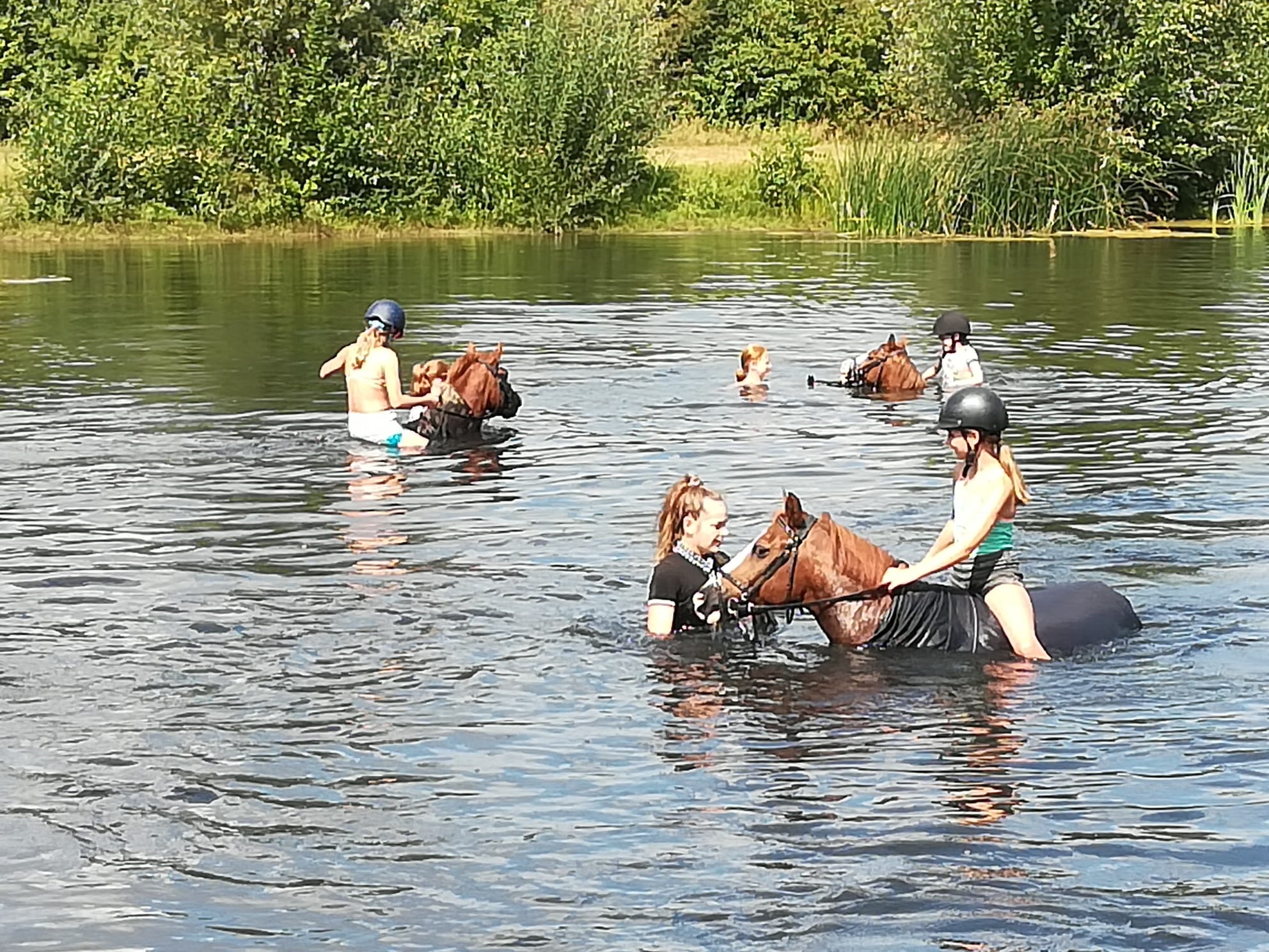 Paardenwelzijn belangrijk bij Ruitersportcentrum Zutphen