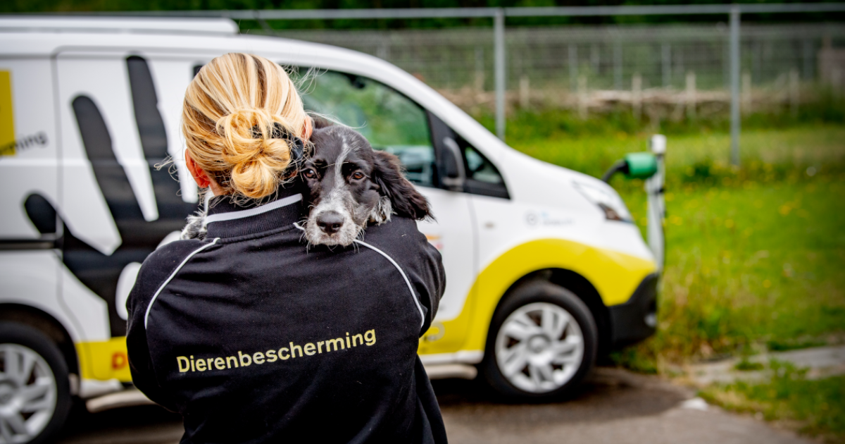 Collectanten gezocht voor de Dierenbescherming