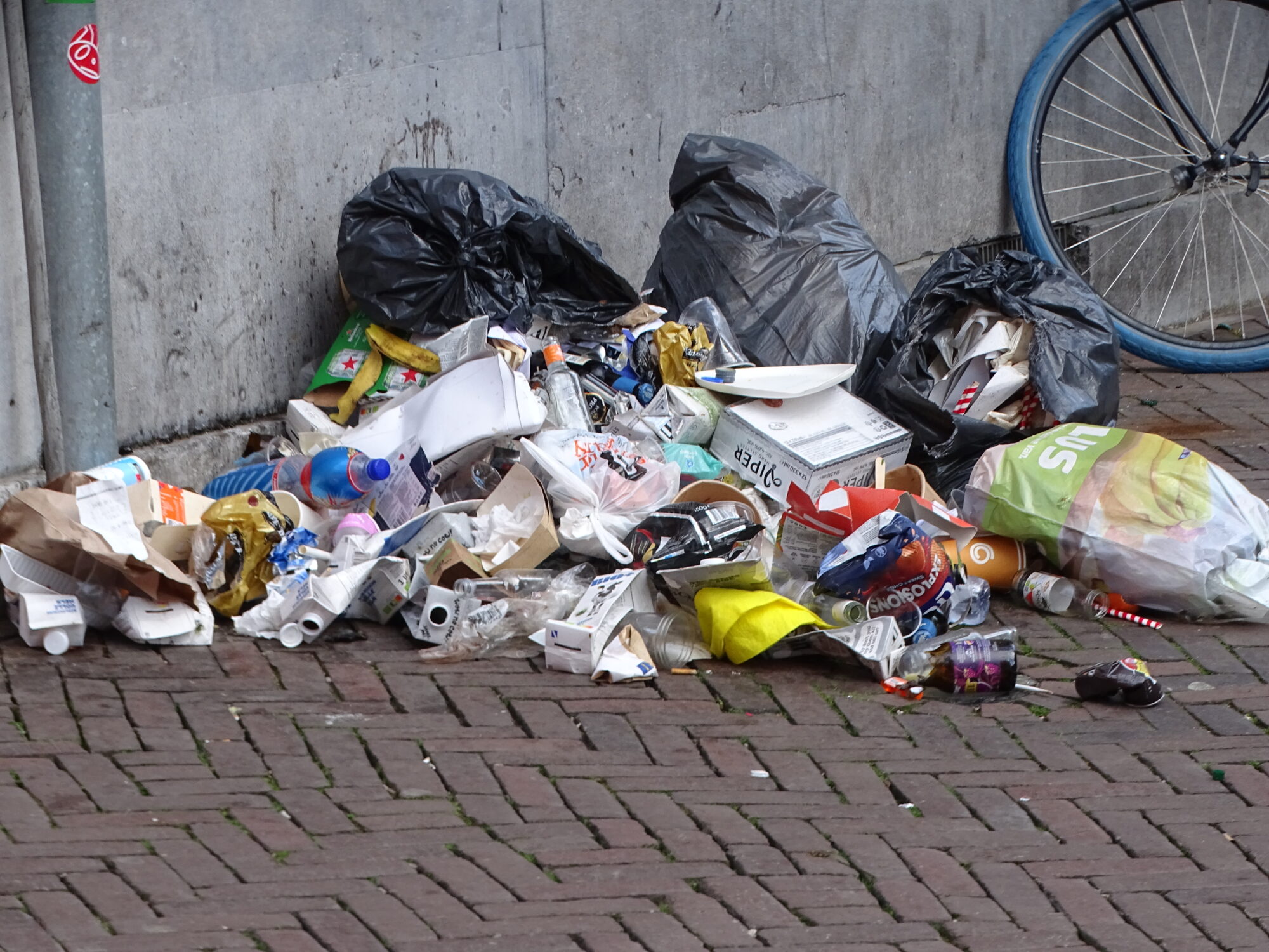 Apeldoorn, Partij voor de Dieren Apeldoorn houdt een cleanup en afvalbingo bij Malkenschoten.