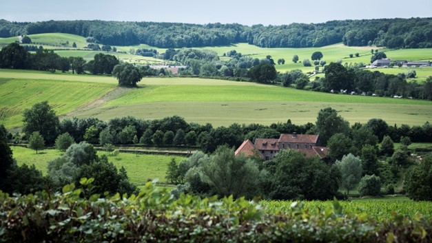 Ontdek Limburg met een grote groep; de vijf leukste activiteiten op een rij