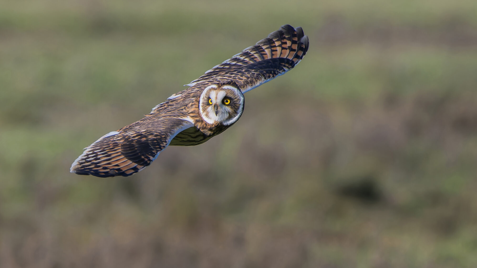 Prachtige foto’s van natuurgebieden