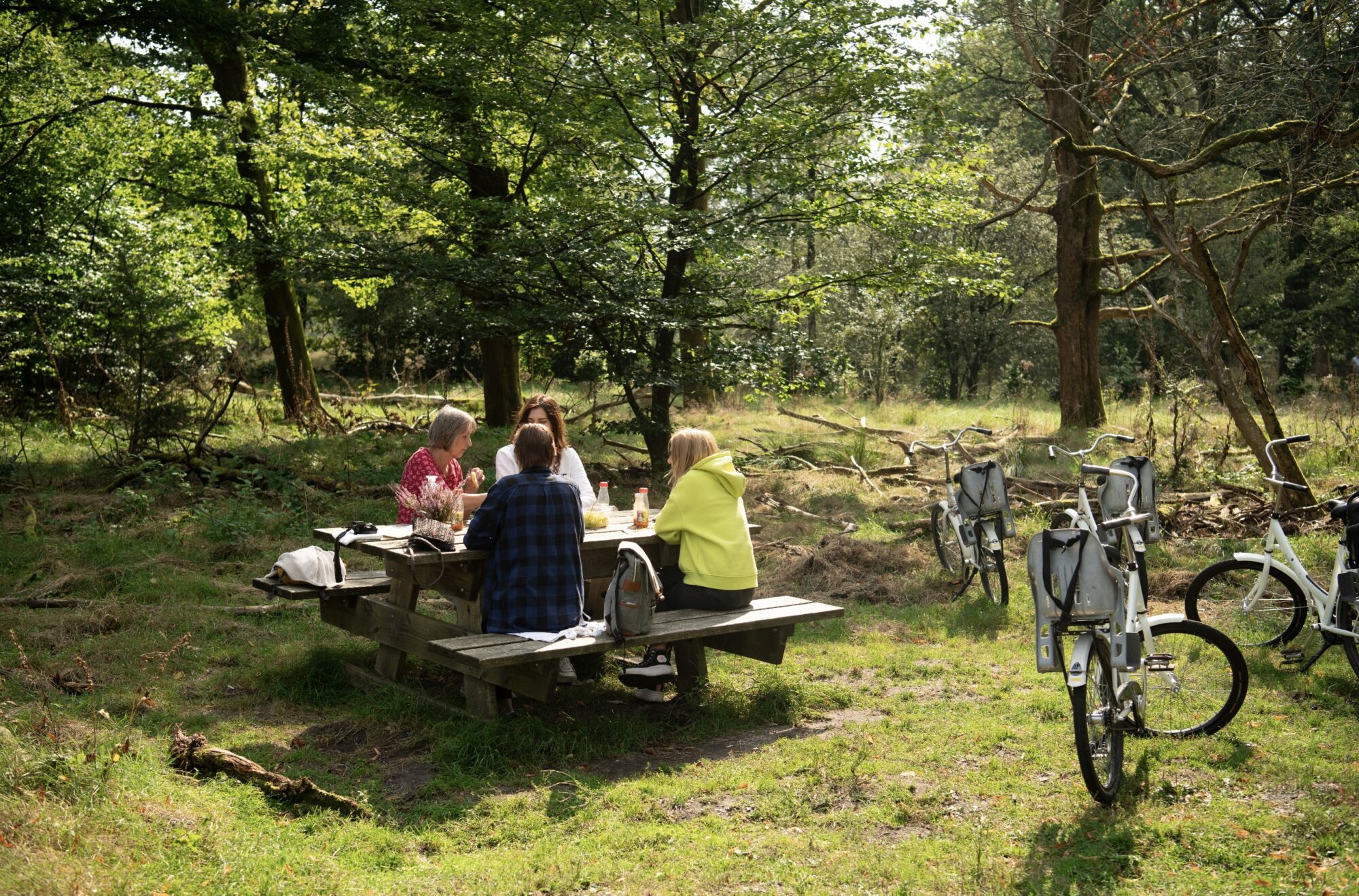 Vakantieparken van grote economische betekenis voor de Veluwe