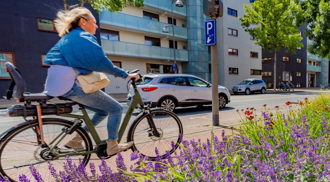 Onderzoekers wijzen Apeldoorn aan als gezondste stad van Nederland