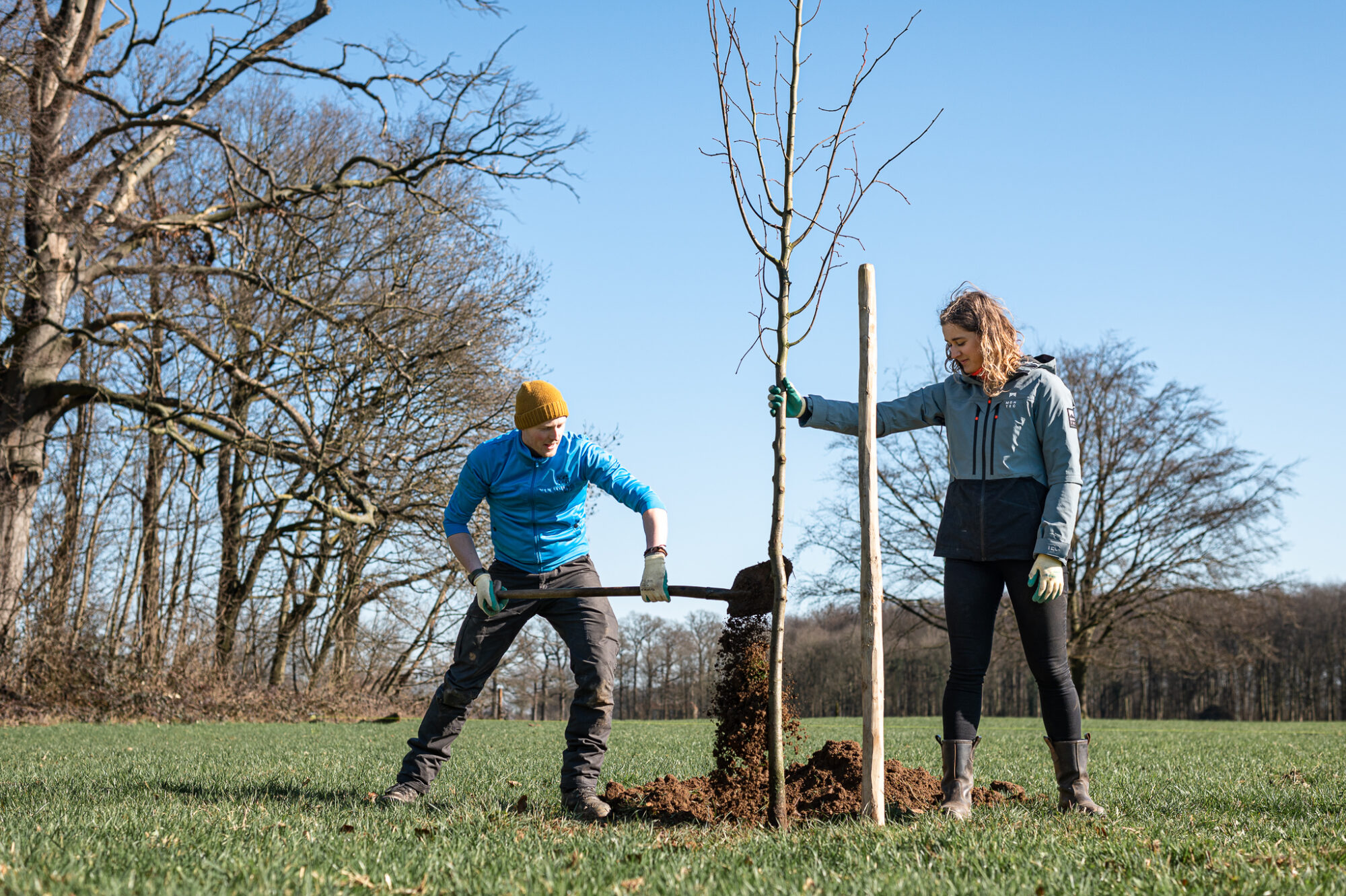 Bliksemactie voor meer bomen groot succes